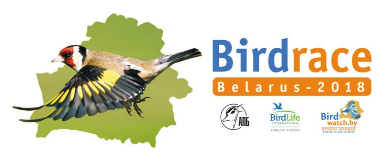 BirdRace-2018ye1200-768x320[1]